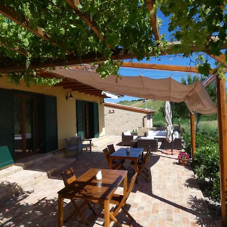 Il Frutteto Bed And Breakfast Ripattone Bagian luar foto