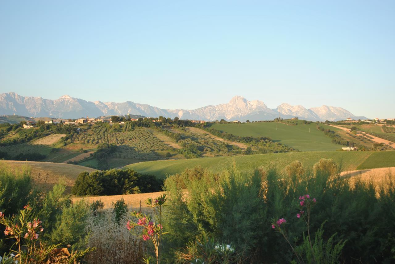 Il Frutteto Bed And Breakfast Ripattone Bagian luar foto
