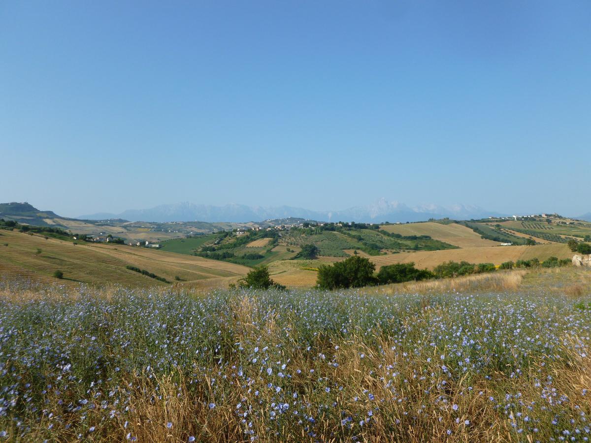 Il Frutteto Bed And Breakfast Ripattone Bagian luar foto
