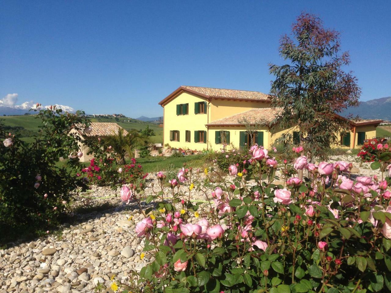 Il Frutteto Bed And Breakfast Ripattone Bagian luar foto