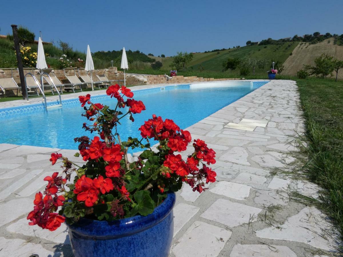 Il Frutteto Bed And Breakfast Ripattone Bagian luar foto